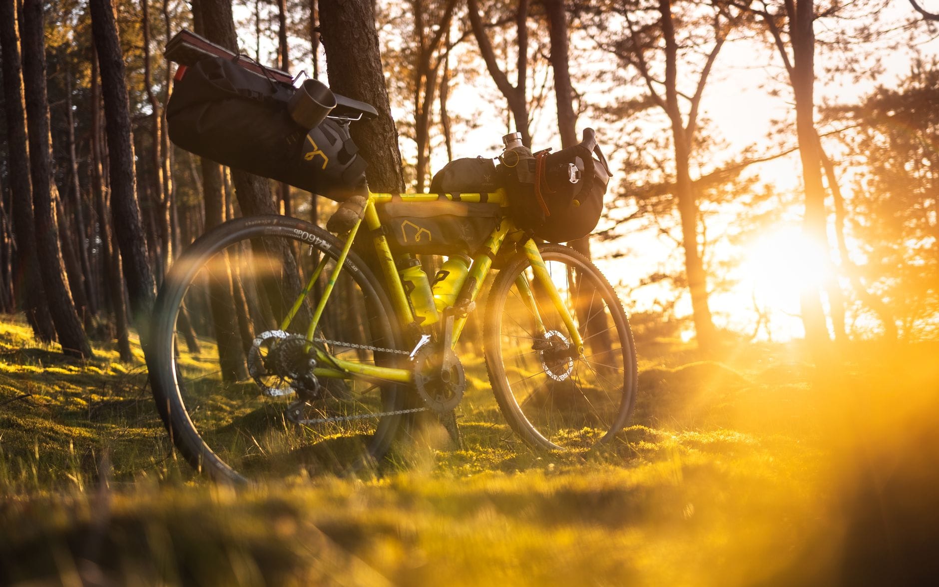 Jak przygotować rower gravelowy do wyprawy bikepackingowej: kluczowe akcesoria, pakowanie i serwis przed wyjazdem Gravelowy rower wyprawowy z bagażem na leśnej, nasłonecznionej ścieżce